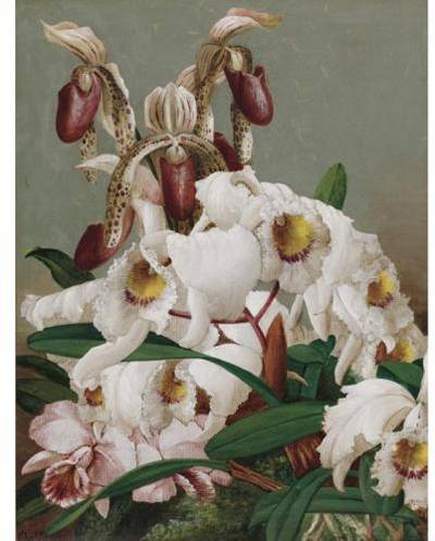 Sample artwork by Charles Storer (1817 - 1907), known for floral studies, still life, figure and landscape painting - View similar artists and auction records