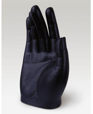 THE GLOVE OF BUDDHA
