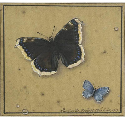 BUTTERFLIES by Feodor Petrovich Tolstoi - Auction record, sale price, and art valuation. Compare with similar artists and explore comparable artworks.