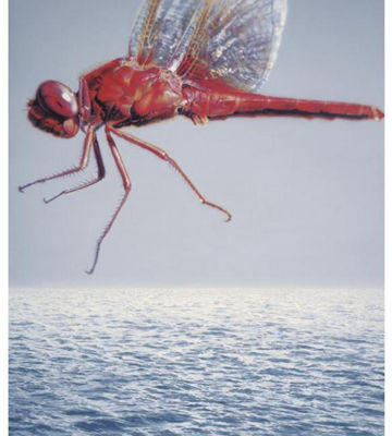RED by Jingping Cao - Auction record, sale price, and art valuation. Compare with similar artists and explore comparable artworks.