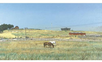 California Landscape with Fences