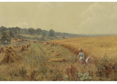 PICKING POPPIES IN FLOWER-FRINGED FIELDS