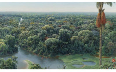 JUNGLE AND WATERS by Mauricio Barbato - Auction record, sale price, and art valuation. Compare with similar artists and explore comparable artworks.