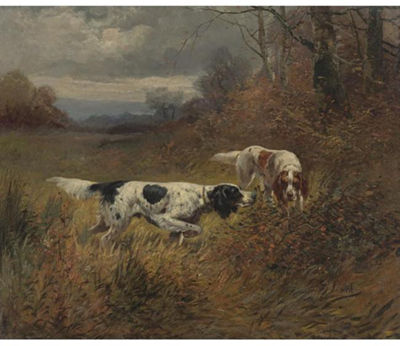 ON THE SCENT, SETTERS