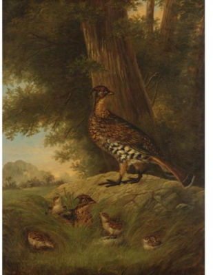 A Family of Grouse in a Landscape