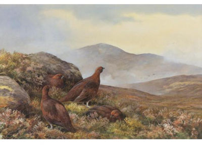 GROUSE IN A MOORLAND LANDSCAPE by Neil Cox - Auction record, sale price, and art valuation. Compare with similar artists and explore comparable artworks.