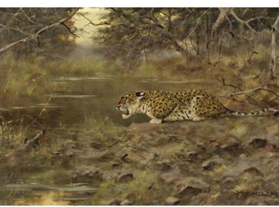 LEOPARD by George Majewicz - Auction record, sale price, and art valuation. Compare with similar artists and explore comparable artworks.
