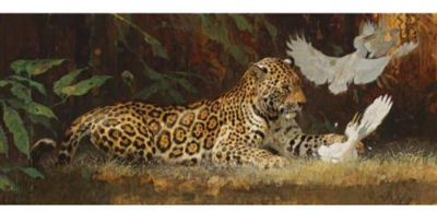 Jaguar and Cattle Egrets