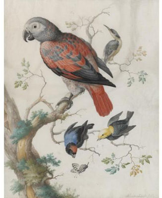Sample artwork by Anton Henstenburgh (1695 - 1781), known for painting - View similar artists and auction records