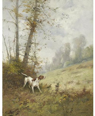 Setter in a Landscape