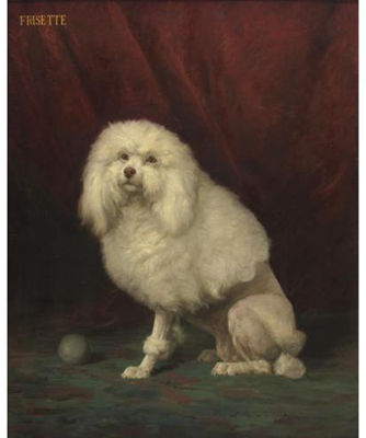 Frisette
