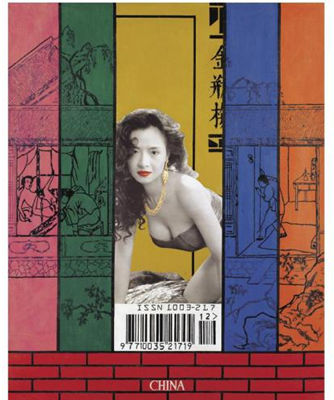 PUZZLED BY PORNOGRAPHY, CHAPTER NO. 61