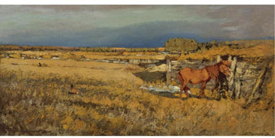 COUNTRY LANDSCAPE