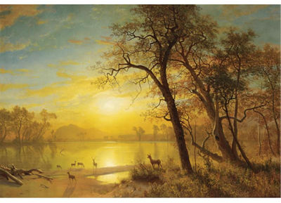 Mountain Lake