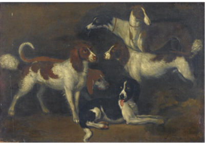 STUDY OF DOGS