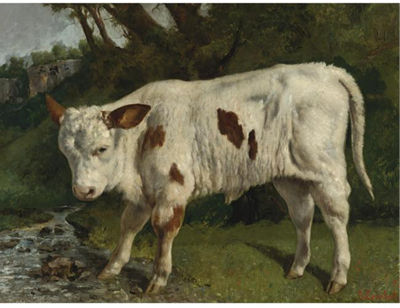 LE VEAU BLANC