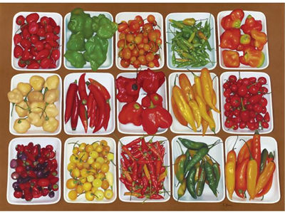 SUNLIGHT AND PEPPERS