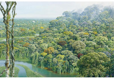 UNTITLED by Mauricio Barbato - Auction record, sale price, and art valuation. Compare with similar artists and explore comparable artworks.