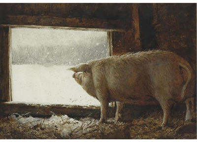 Winter Pig