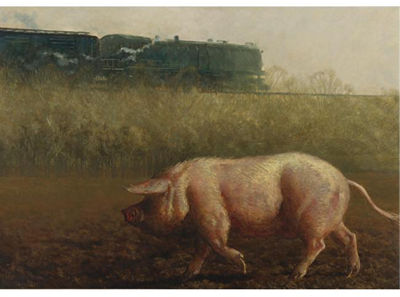 Pig And The Train