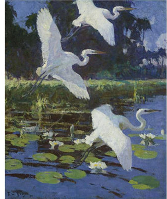 Herons and Lilies