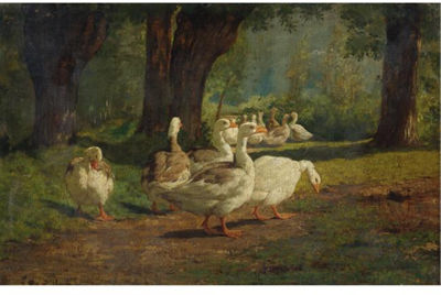 GEESE IN A WOODED GLADE