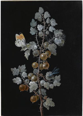 A GOOSEBERRY BRANCH, WITH A DRAGONFLY, BUTTERFLY AND CATERPILLAR