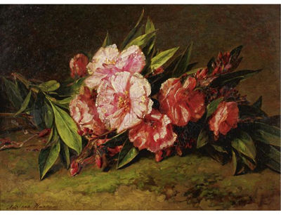 AZALEA BLOSSOMS ON A LEDGE