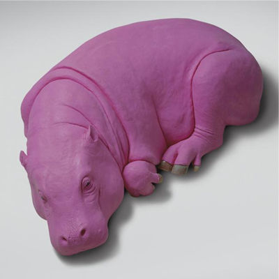 HIPPOPOTAMUS
