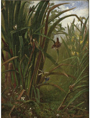 MARSH INTERIOR