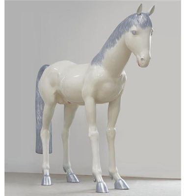 SILVER HAIRED HORSE