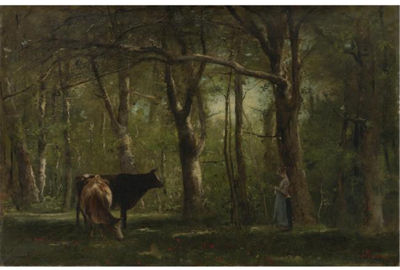 WOODLAND INTERIOR