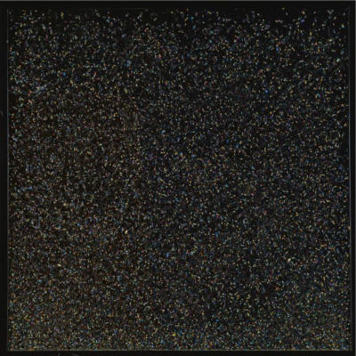 UNTITLED (SHENIQUA)