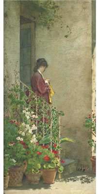 A Summer Morning
