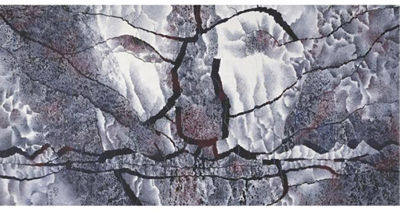 Portrait of Deshu Qiu: SELF-PORTRAIT (SPIRIT)