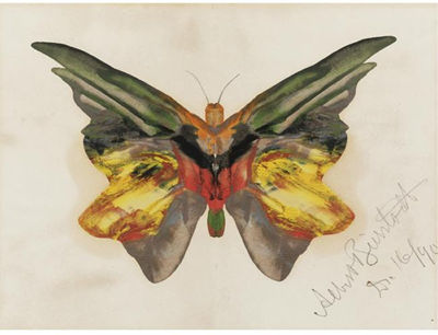 BUTTERFLY