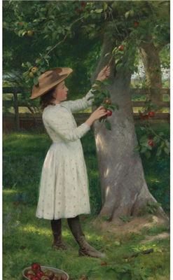 THE PICK OF THE ORCHARD (PICKING APPLES)