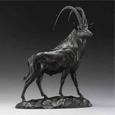 SABLE ANTELOPE