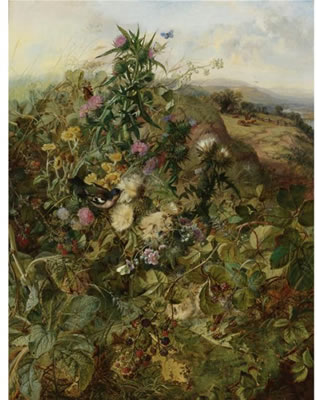 WILD RASPBERRIES AND THISTLES