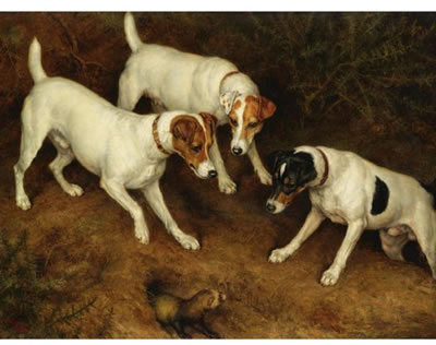 NOT AT HOME: CRACKNELL, OLIVE AND JACK RUSSELL ON A FERRET