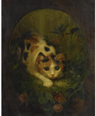 THE BUTTERFLY AND THE CAT