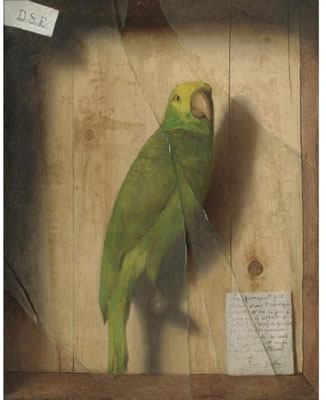 De Scott (David) Evans - artist photo for art wanted listing (Indianapolis, IN)