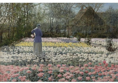 TULIP CULTURE