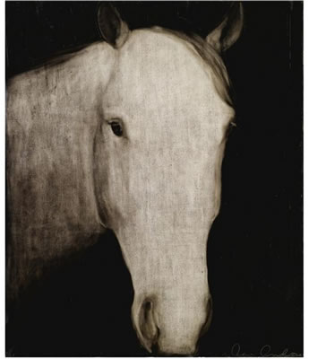 UNTITLED (HORSE HEAD)