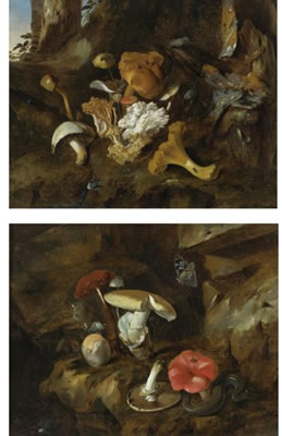 FOREST FLOOR STILL LIFES WITH MUSHROOMS, BUTTERFLIES AND A SNAKE (2)