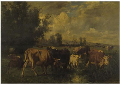 CATTLE IN THE FIELD