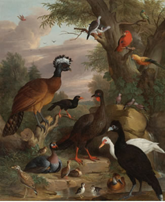 AN ASSEMBLY OF BIRDS IN A PARKLAND LANDSCAPE, INCLUDING A BLUE PEACOCK; A PAIR OF DOMESTIC CRESTED DUCKS; A DOMESTIC GUINEAHEN; A BARBARY COASTDUCK; A RED CRESTED COCKATOO; A SHELDUCK; A TUFTED DUCK; A SANDPIPER; AYELLOW-HEADED AMAZONIAN PARROT; A SPECKLE by Jacob Bogdani - Auction record, sale price, and art valuation. Compare with similar artists and explore comparable artworks.