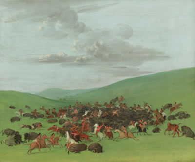 BUFFALO CHASE, A SURROUND BY THE HIDATSA