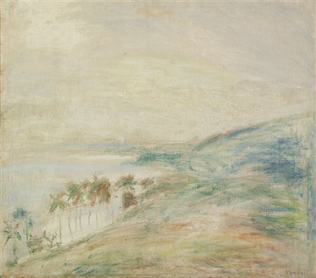 VISTA DEL PLAYÓN