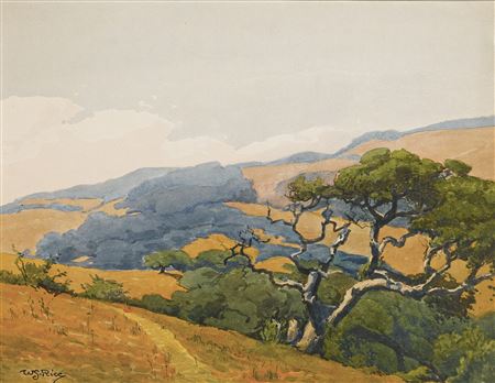 COASTAL HILLS